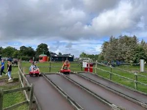 Cairnie Fruit Farm & Mega Maze
