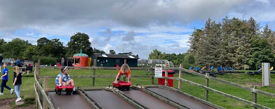 Cairnie Fruit Farm & Mega Maze