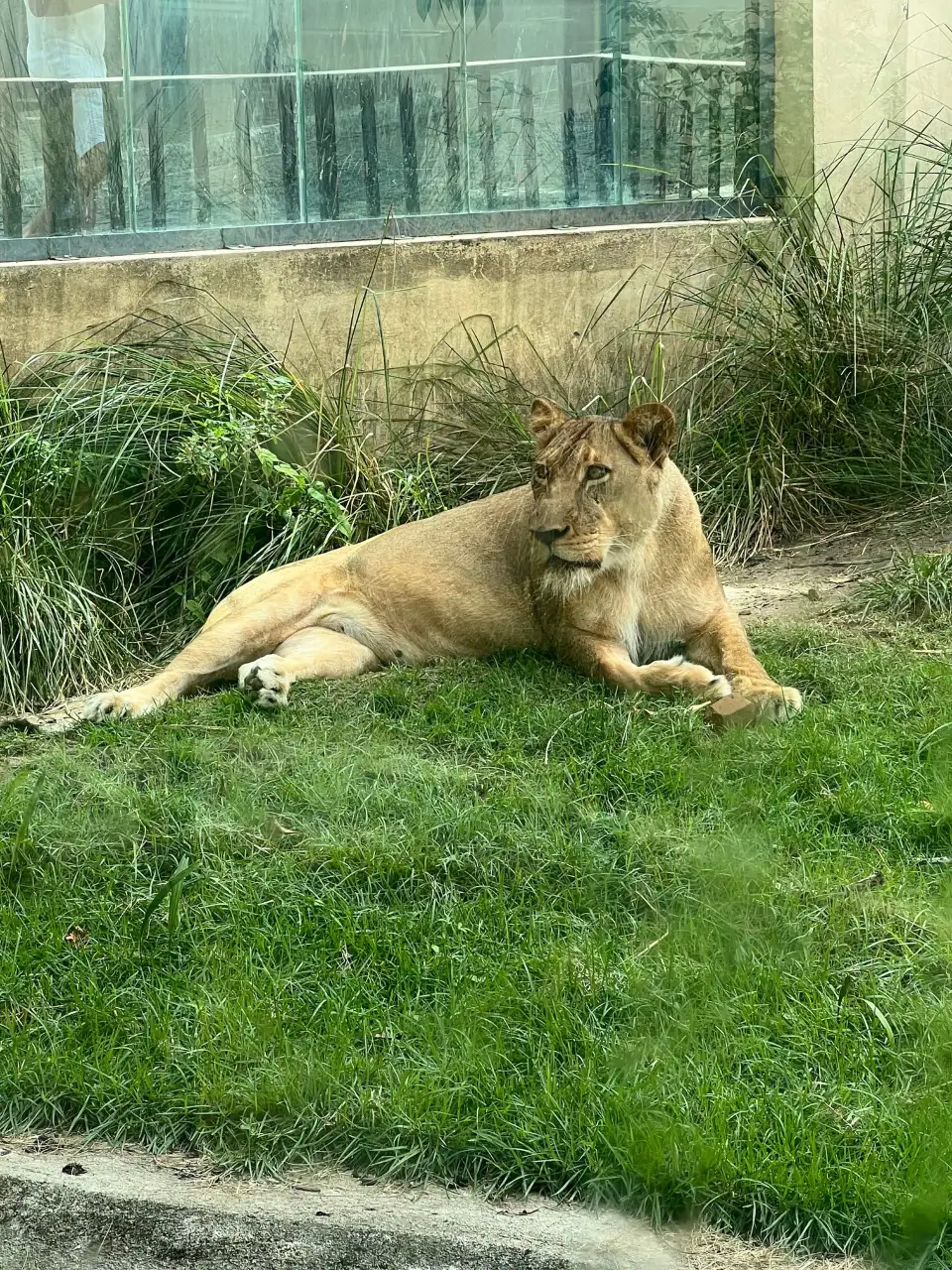 4_Parque Zoobotanico Arruda Camara