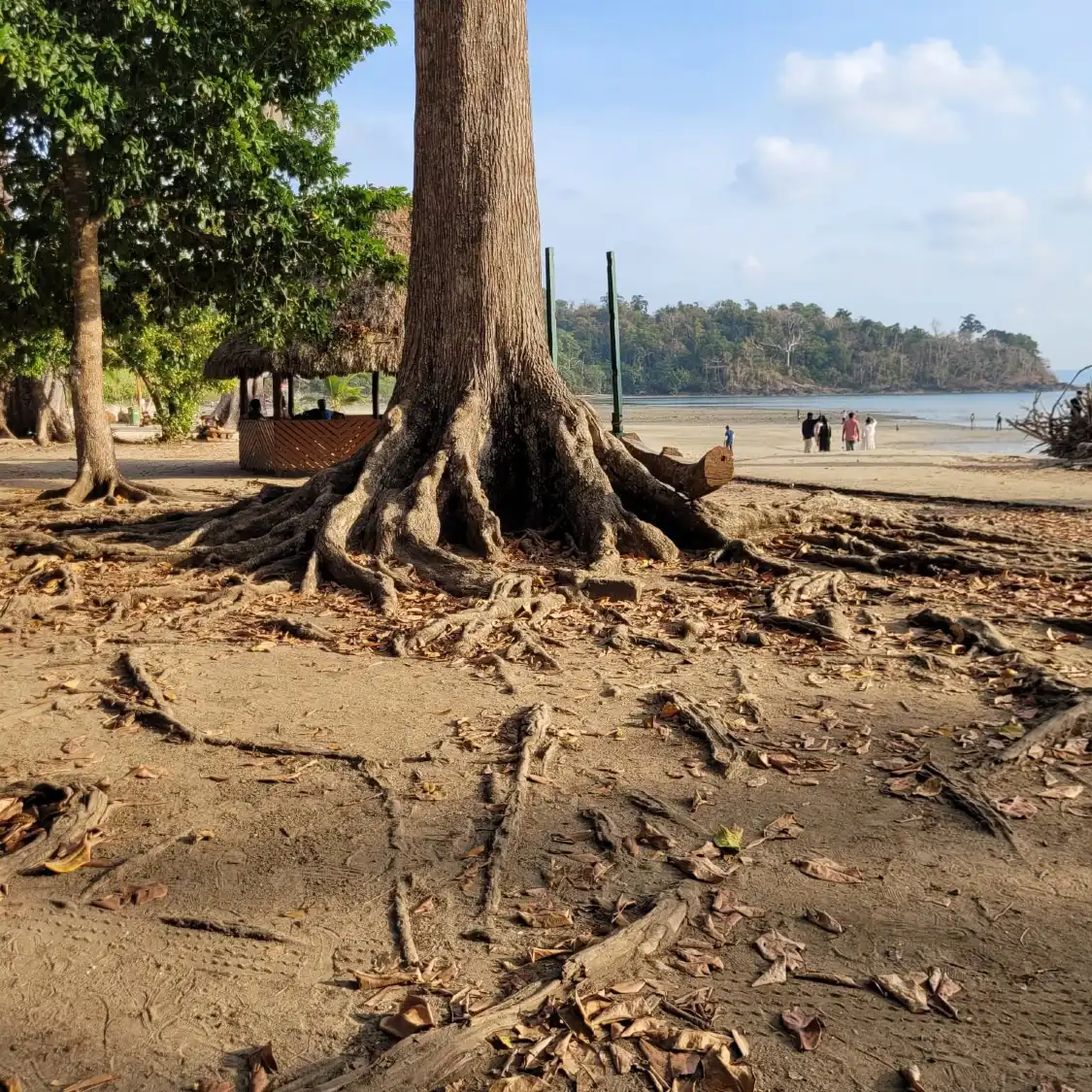 Hotels near Chidiya Tapu Beach