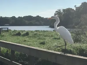 Bay Area Park