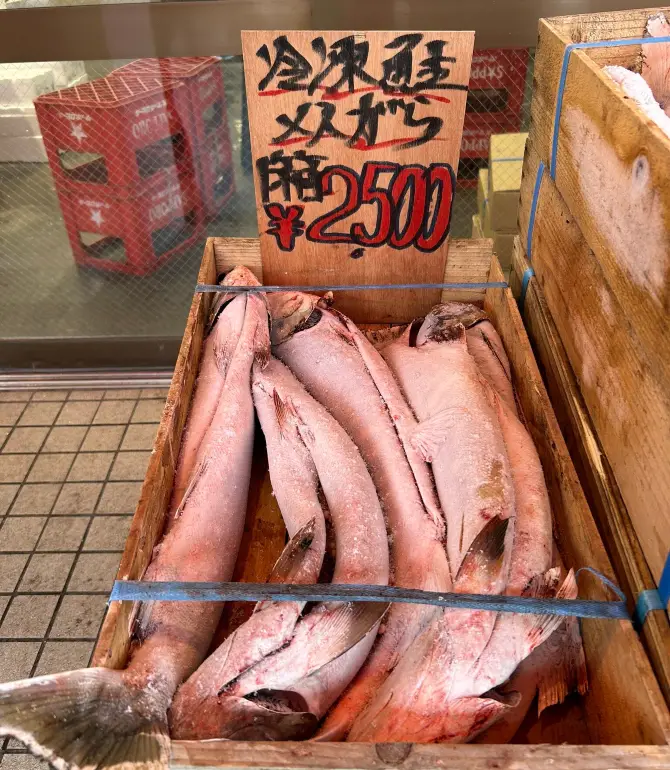 Yoichi