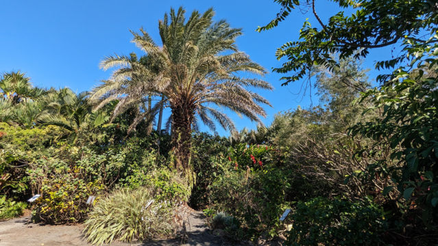 Domaine Du Cafe Grille