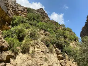 Wadi Lajab
