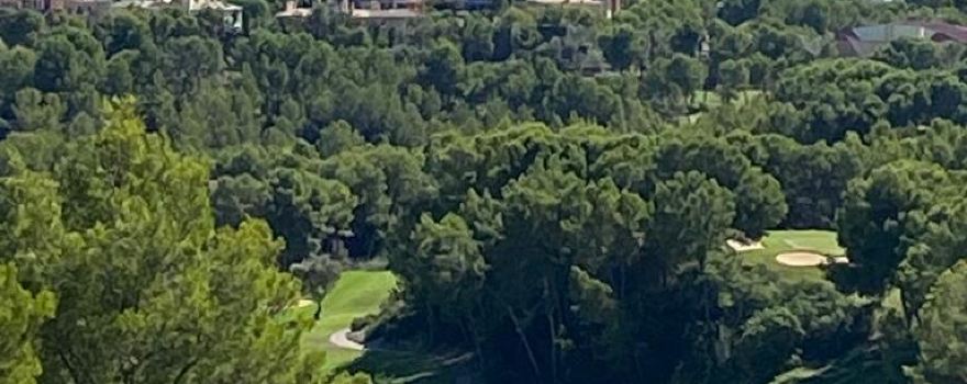 Real Golf de Bendinat