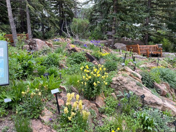 Betty Ford Alpine Gardens