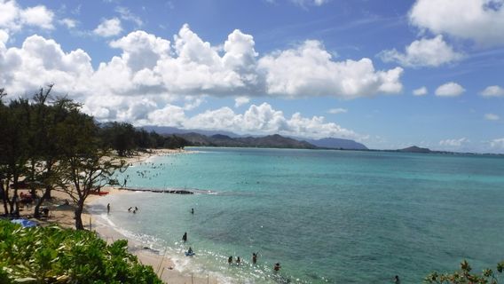 Segway Of Hawaii-Kailua
