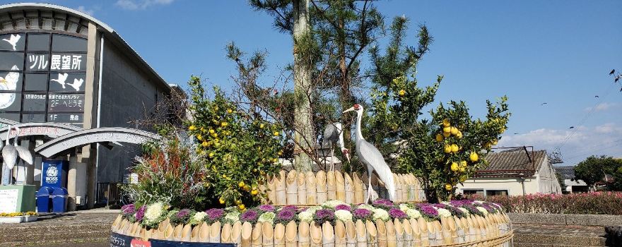 Izumi Crane Observation Centre