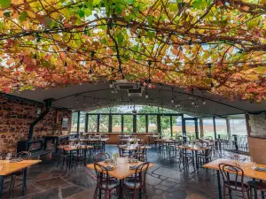 Coriole Vineyards