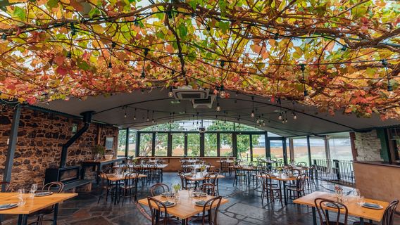 McLaren Vale