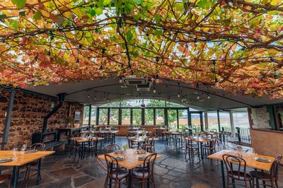 Coriole Vineyards