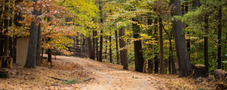North Bend State Park