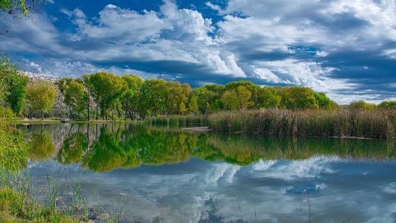 Dead Horse Ranch State Park