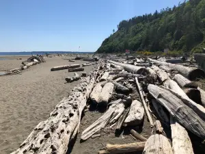 Double Bluff County Park
