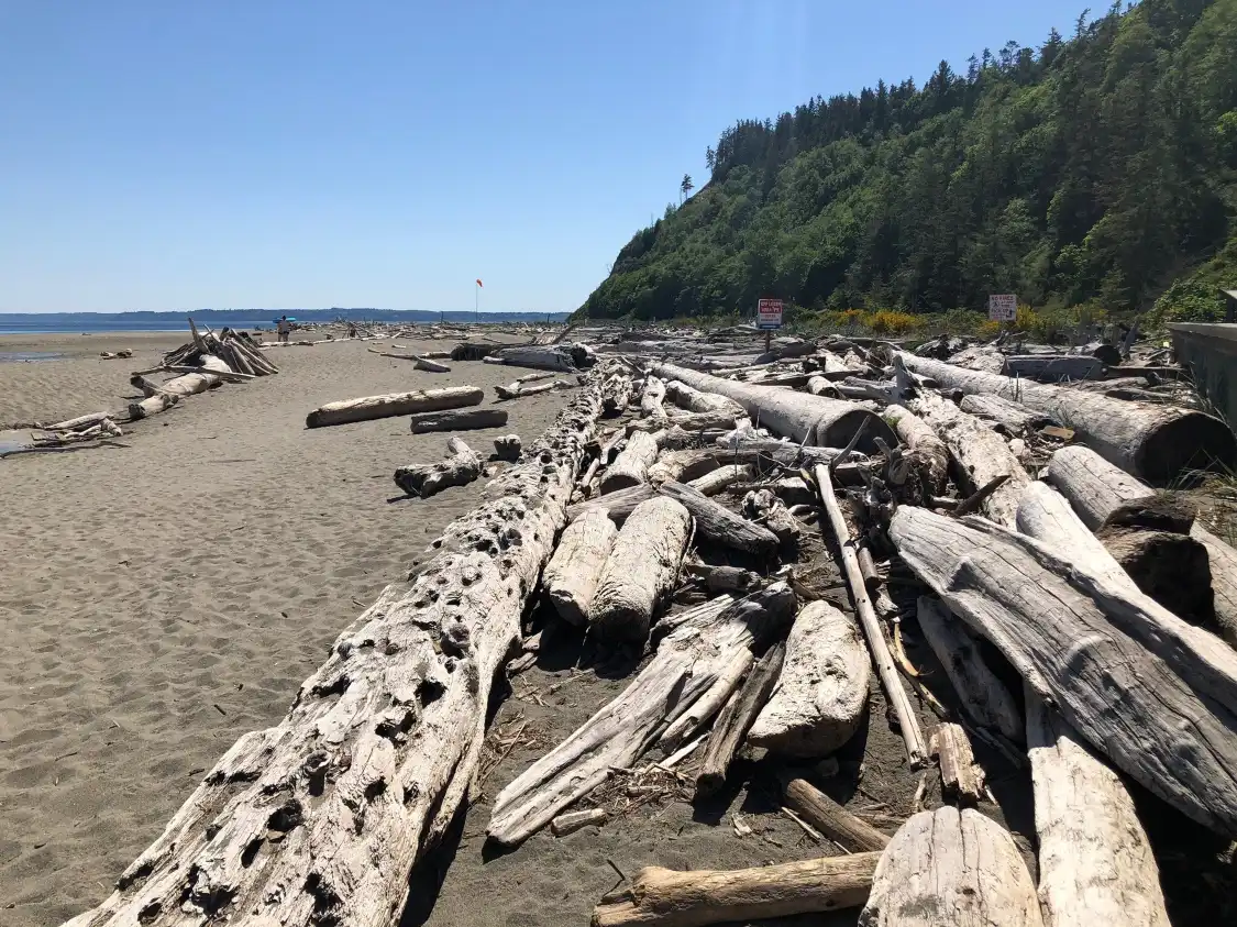 Hotels near Double Bluff County Park