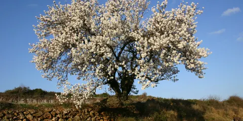Domaine Castan: Le Musee des Emile