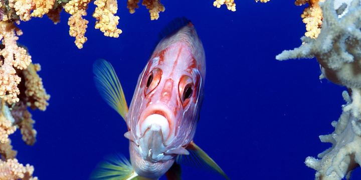 Fish And Friends Diving Center