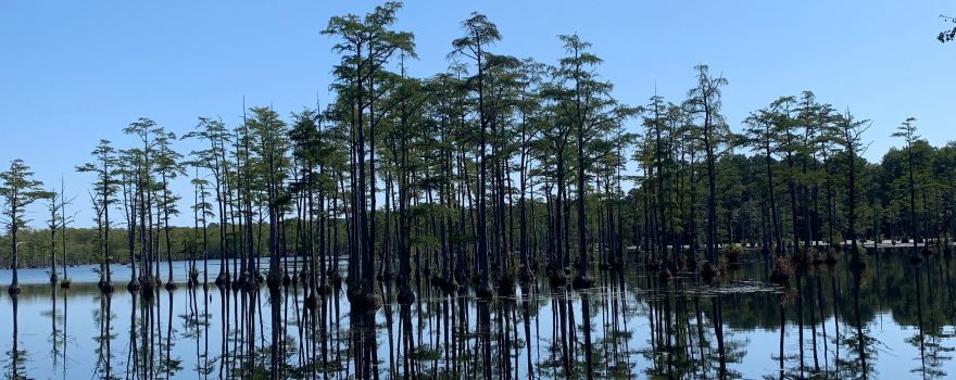 Goodale State Park
