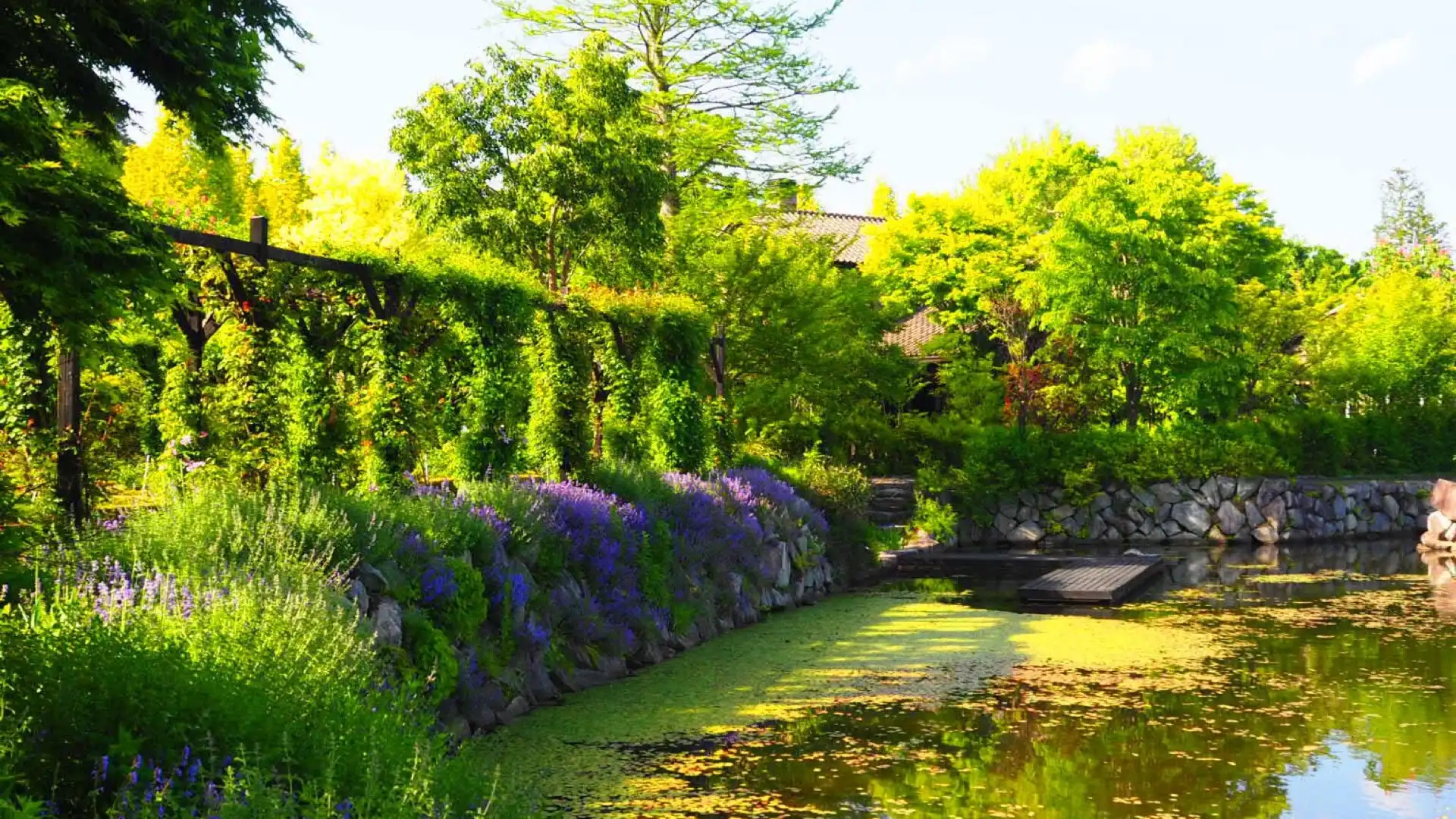 Hotels near Karuizawa Lake Garden