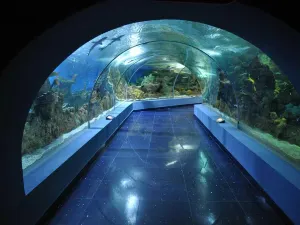 Fakieh Aquarium