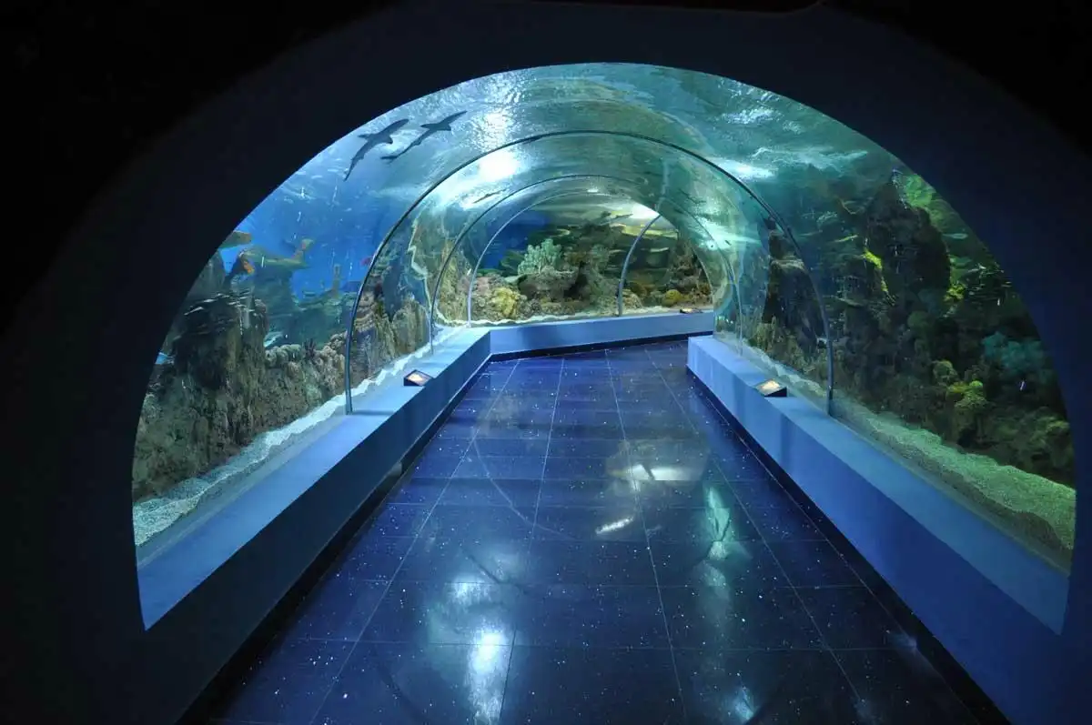Hotels near Fakieh Aquarium