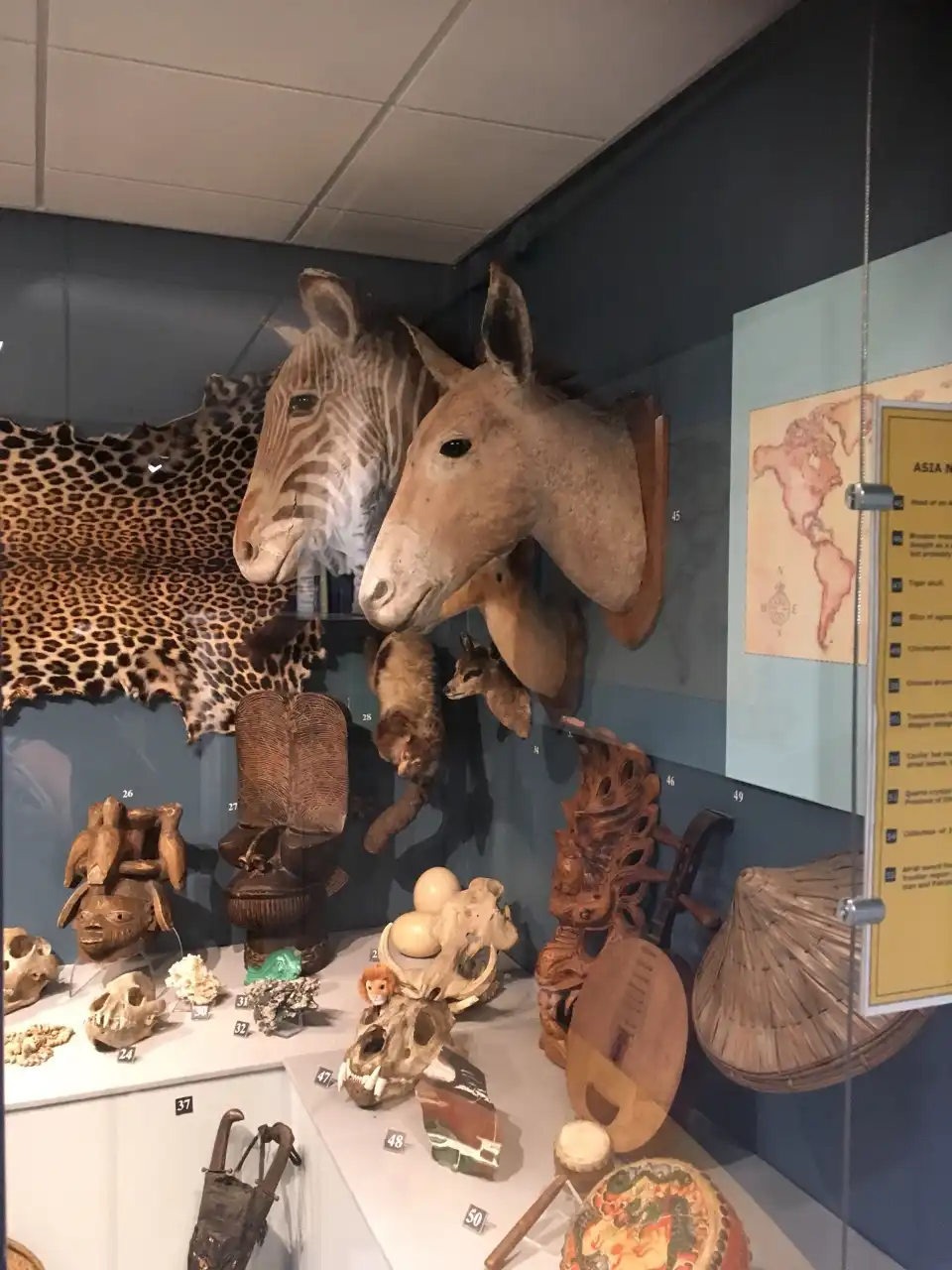 5_Dorman Museum
