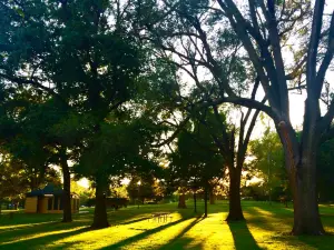 Hessel Park