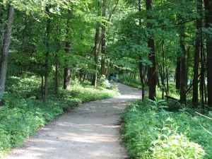 Forest Park Nature Center