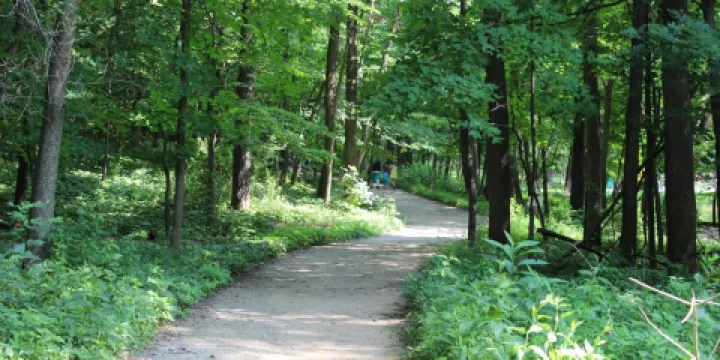 森林公園自然中心