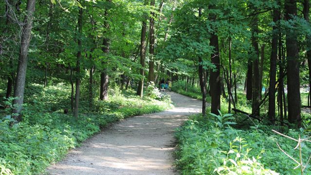 Forest Park Nature Center