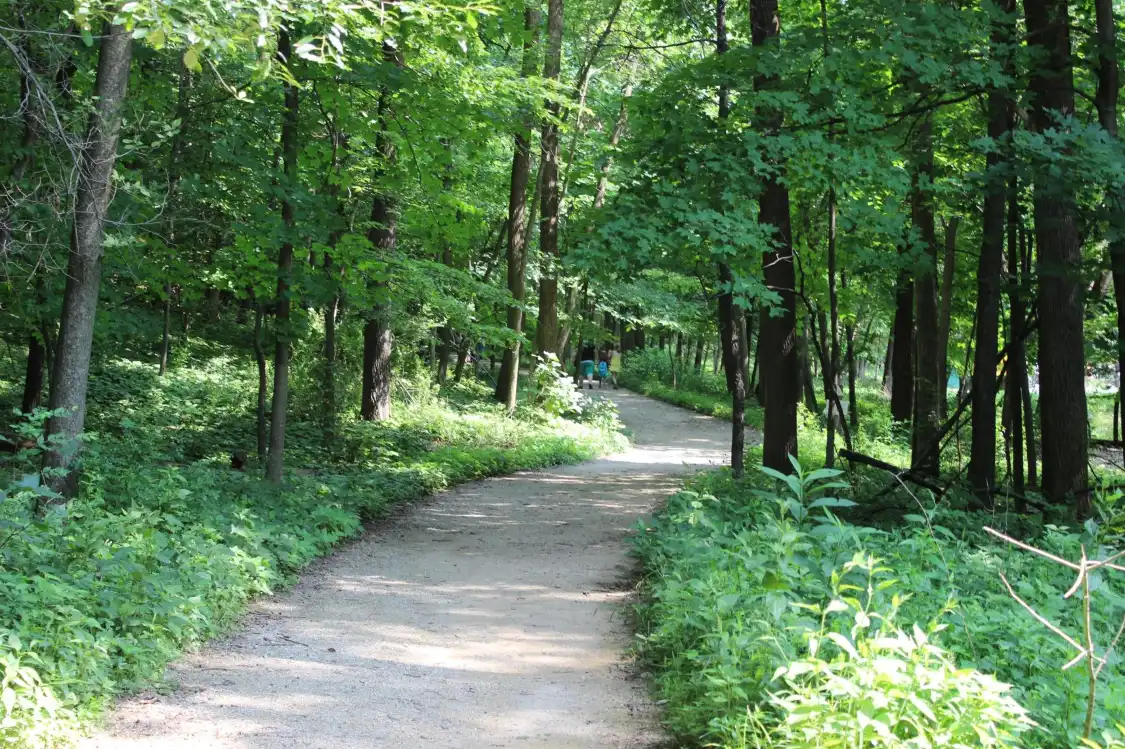 Các khách sạn gần Forest Park