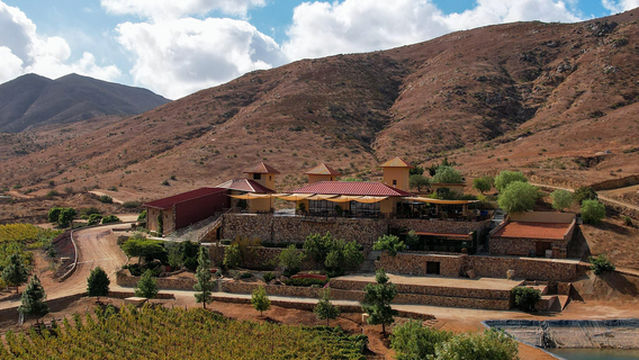 Las Nubes Bodegas y Viñedos