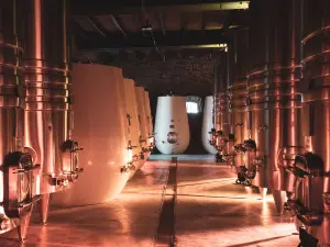 Bodega Los Cerros de San Juan