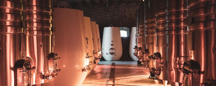 Bodega Los Cerros de San Juan