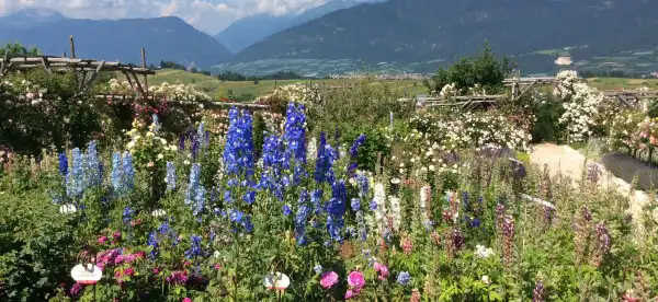 Hotels in Ronzone