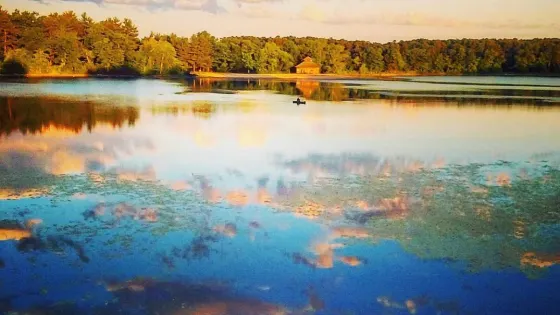 5 Mile Pond