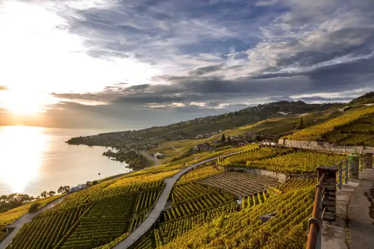 Bourg-en-Lavaux