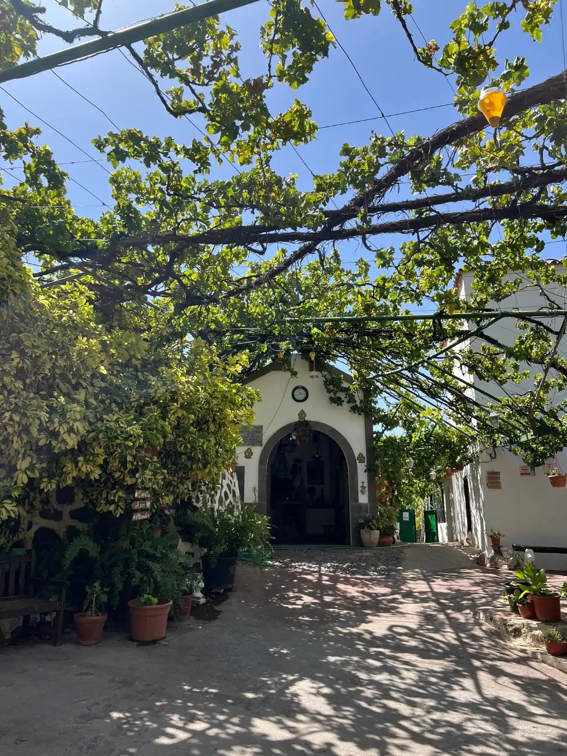 Hotel in zona Bodega Los Berrazales / Finca la Laja