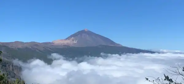 Hotels in Acentejo