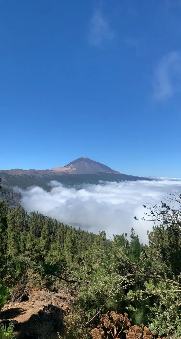 Acentejo
