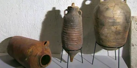 Arheološka Muzejska Zbirka