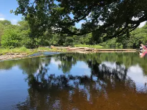 Horseshoe Falls