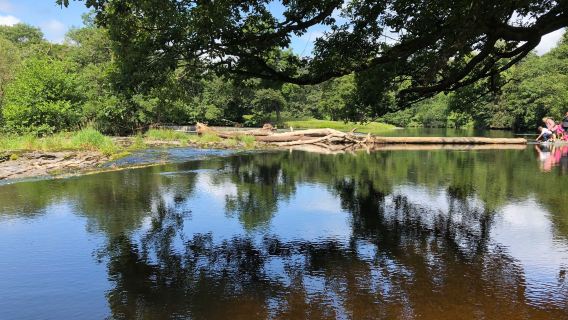 Horseshoe Falls