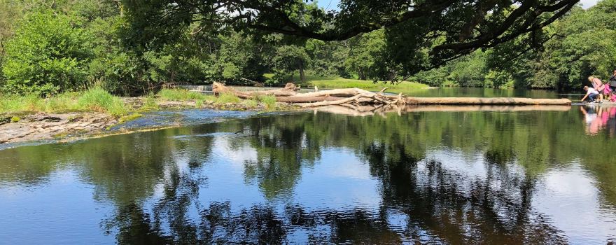 Horseshoe Falls