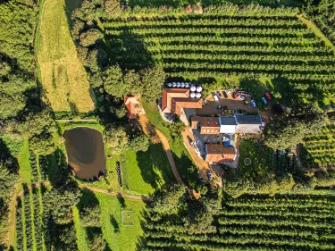 Castel