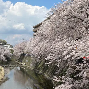 大岡川プロムナード