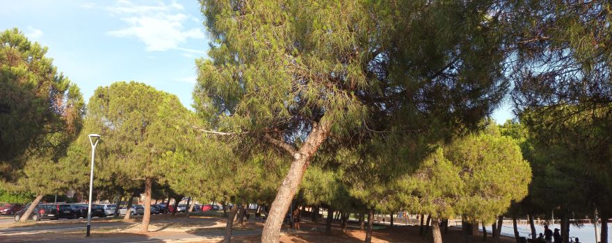 Parc del Tramvia
