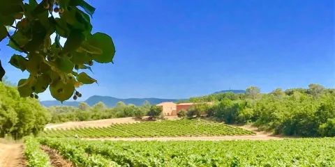 Domaine de Longue Tubi