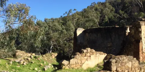 Anstey Hill Recreation Park