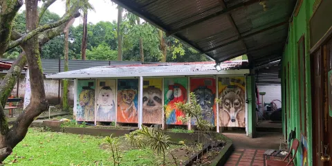 Costa Rica Animal Rescue Center